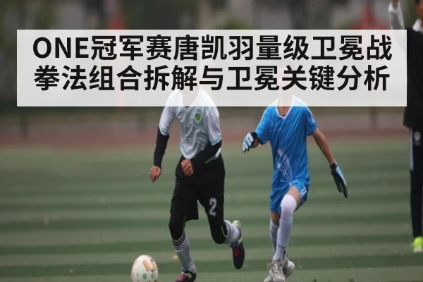 ONE冠军赛唐凯羽量级卫冕战拳法组合拆解与卫冕关键分析